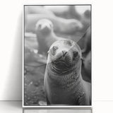 Framed wall art featuring a vibrant sea lion design, showcasing marine life in vivid colors, set against a sleek white background for modern decor.