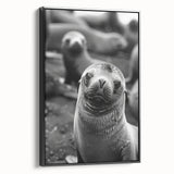Framed wall art showcasing a sleek black canvas featuring a vibrant sea lion design, perfect for marine life enthusiasts and stylish home decor.