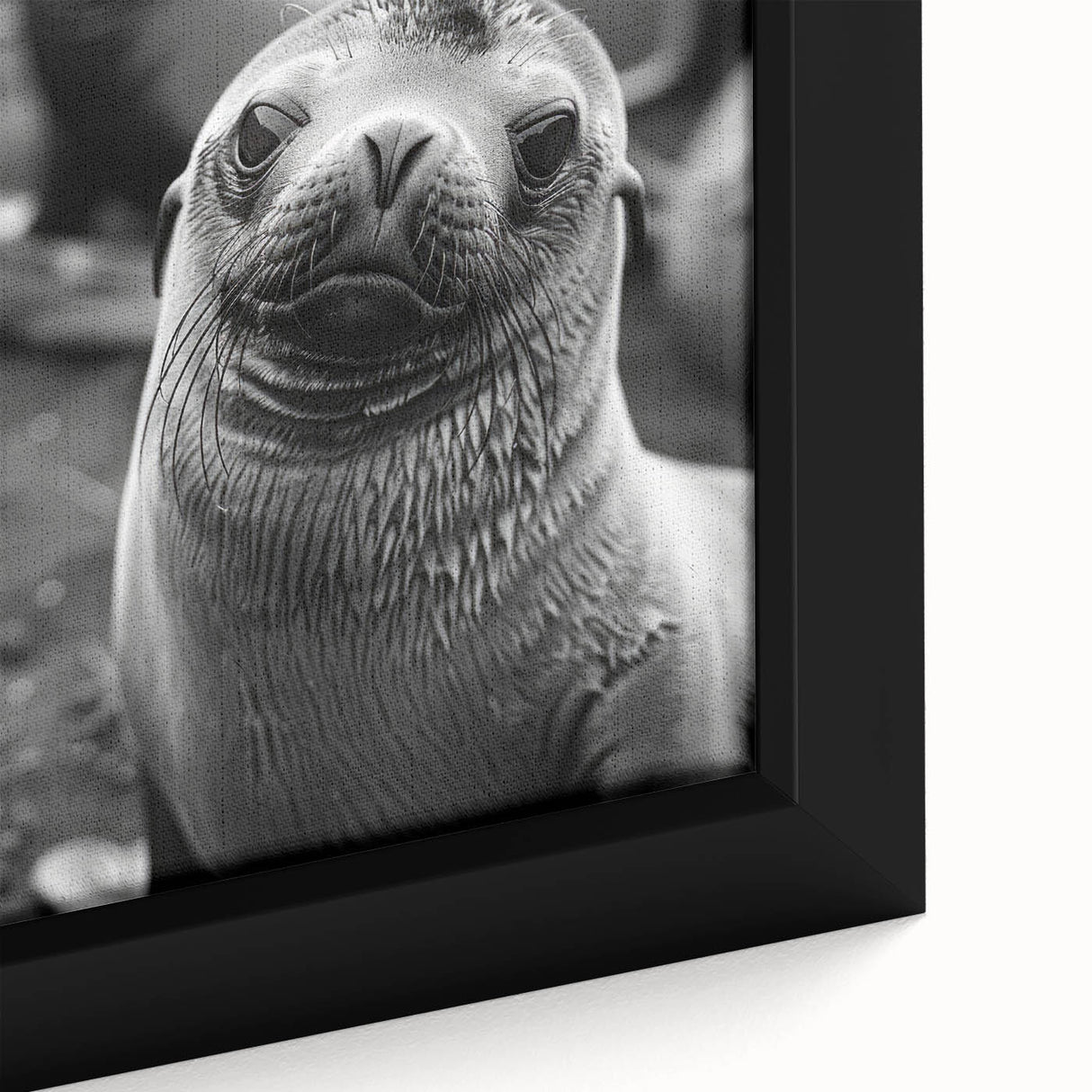 Close-up of a vibrant framed canvas wall art featuring a playful sea lion design, showcasing rich colors and intricate details, perfect for marine life enthusiasts.