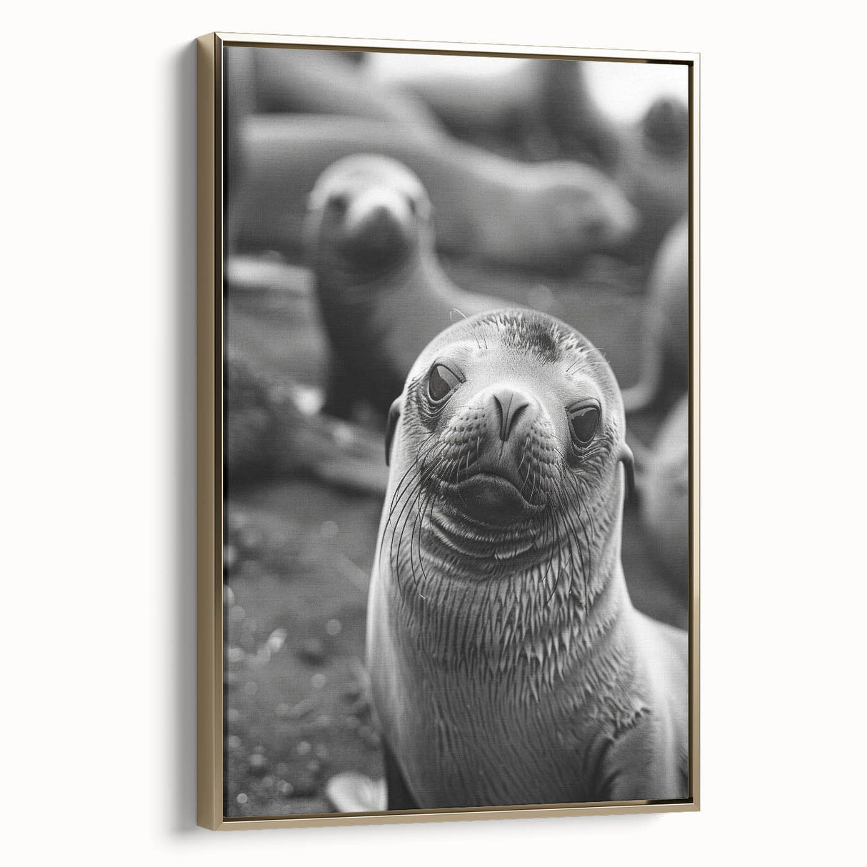 Framed wall art showcasing a vibrant sea lion design in a marine life theme, featuring golden accents and a side view perspective, ideal for ocean-themed decor.