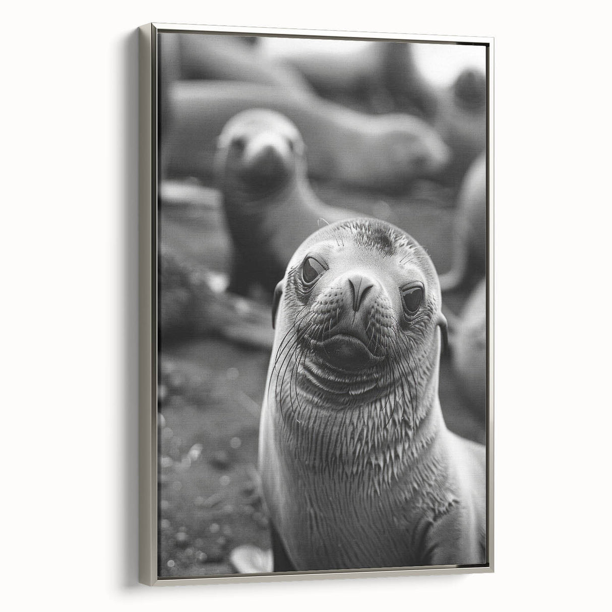 Framed wall art featuring a detailed design of a sea lion in a marine life theme, set against a silver backdrop, perfect for ocean-inspired decor.