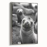 Framed wall art featuring a detailed design of a sea lion in a marine life theme, set against a silver backdrop, perfect for ocean-inspired decor.