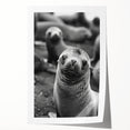 Vibrant wall art print showcasing a playful sea lion swimming among colorful marine life, perfect for ocean-themed home decor. Ideal for nature lovers and coastal aesthetics.
