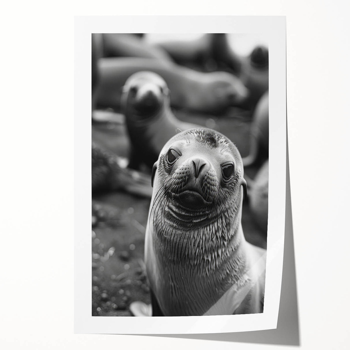 Vibrant wall art print showcasing a playful sea lion swimming among colorful marine life, perfect for ocean-themed home decor. Ideal for nature lovers and coastal aesthetics.