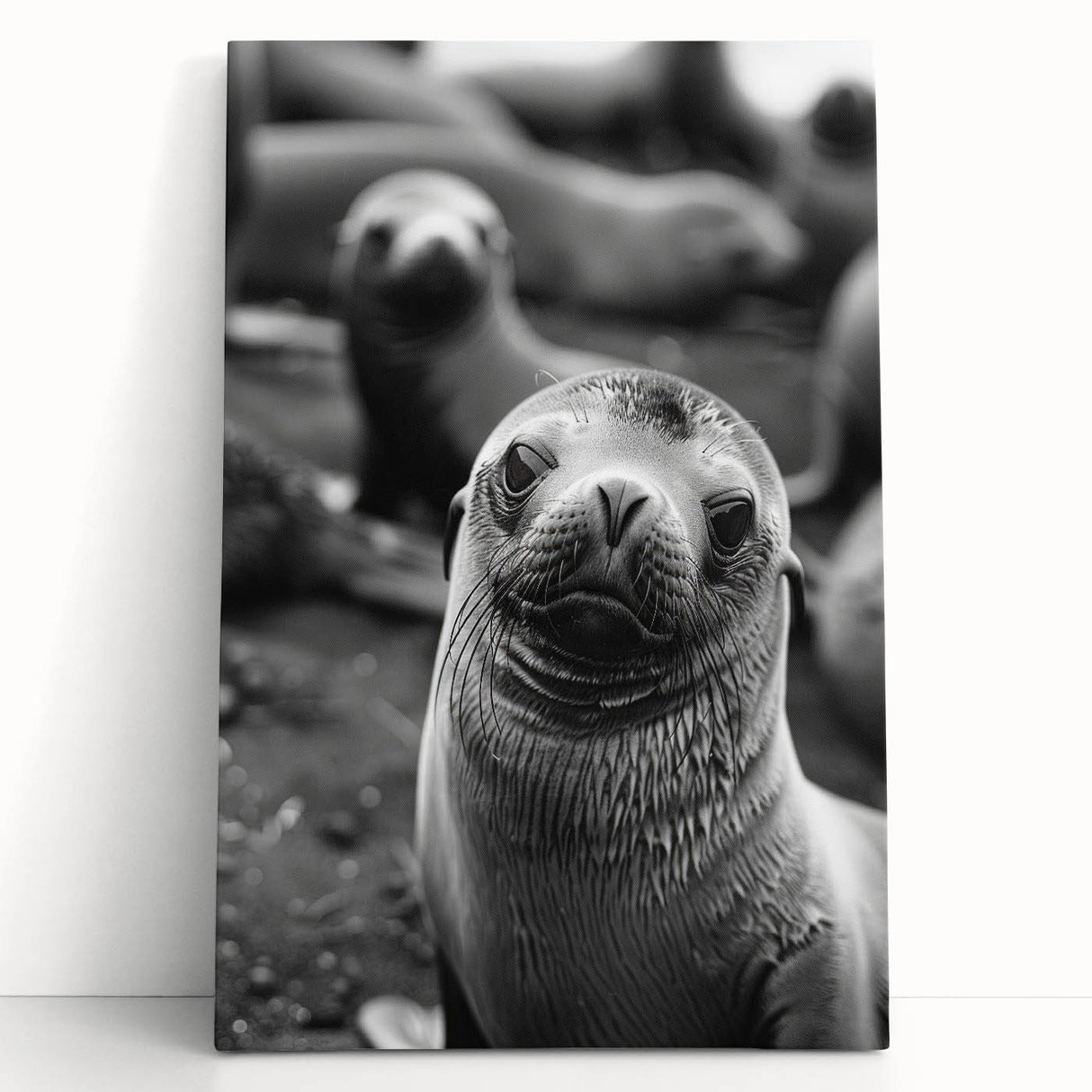 Vibrant stretched canvas wall art featuring a playful sea lion design, showcasing rich colors and intricate details, perfect for marine life enthusiasts and home decor.
