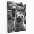 Stretched canvas wall art showcasing a vibrant sea lion design, featuring intricate details and rich colors, perfect for marine life enthusiasts' decor.