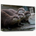 Side view of a marine life-themed wall art piece featuring a playful sea otter design, displayed in an acrylic glass frame with decorative pins, perfect for ocean lovers.