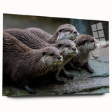 Acrylic glass wall art featuring a playful sea otter design, showcasing vibrant marine life colors and intricate details, ideal for ocean-themed decor.