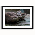 Framed wall art showcasing a playful sea otter design, featuring vibrant marine life colors and a sleek black frame, perfect for ocean-themed decor.
