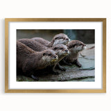 Framed wall art featuring a charming sea otter design, elegantly set in a gold frame with a mat, showcasing marine life in a coastal theme. Ideal for ocean lovers.