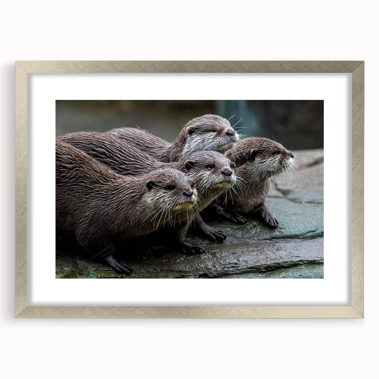 Framed wall art featuring a vibrant sea otter design, showcasing marine life in rich colors, set in a sleek silver frame with a mat, perfect for ocean-themed decor.