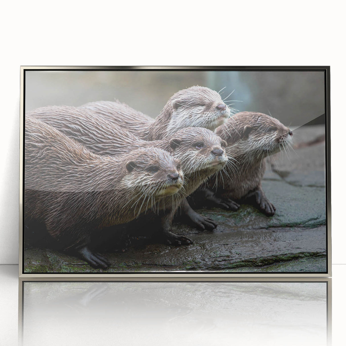 Framed wall art featuring a playful sea otter design in vibrant colors, displayed in a sleek silver frame, perfect for marine life enthusiasts' decor.