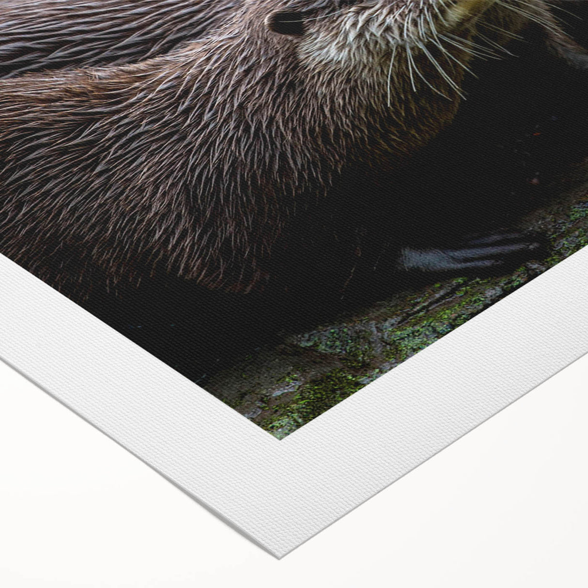 Rolled canvas artwork showcasing a vibrant sea otter design, featuring intricate marine life details and colorful aquatic elements, perfect for ocean-themed decor.