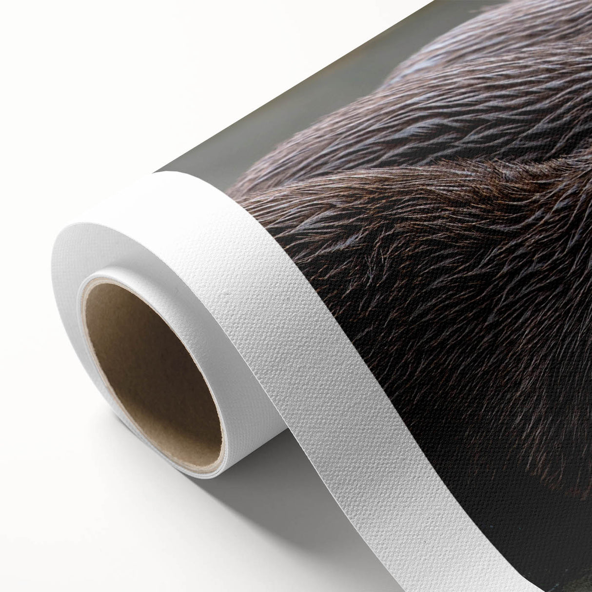 Rolled canvas artwork depicting a playful sea otter surrounded by vibrant marine life, showcasing detailed textures and colors, ideal for ocean-themed décor.