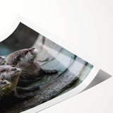 Colorful wall art print showcasing a playful sea otter swimming among marine life, perfect for ocean-themed decor. Ideal for nature lovers and wildlife enthusiasts.
