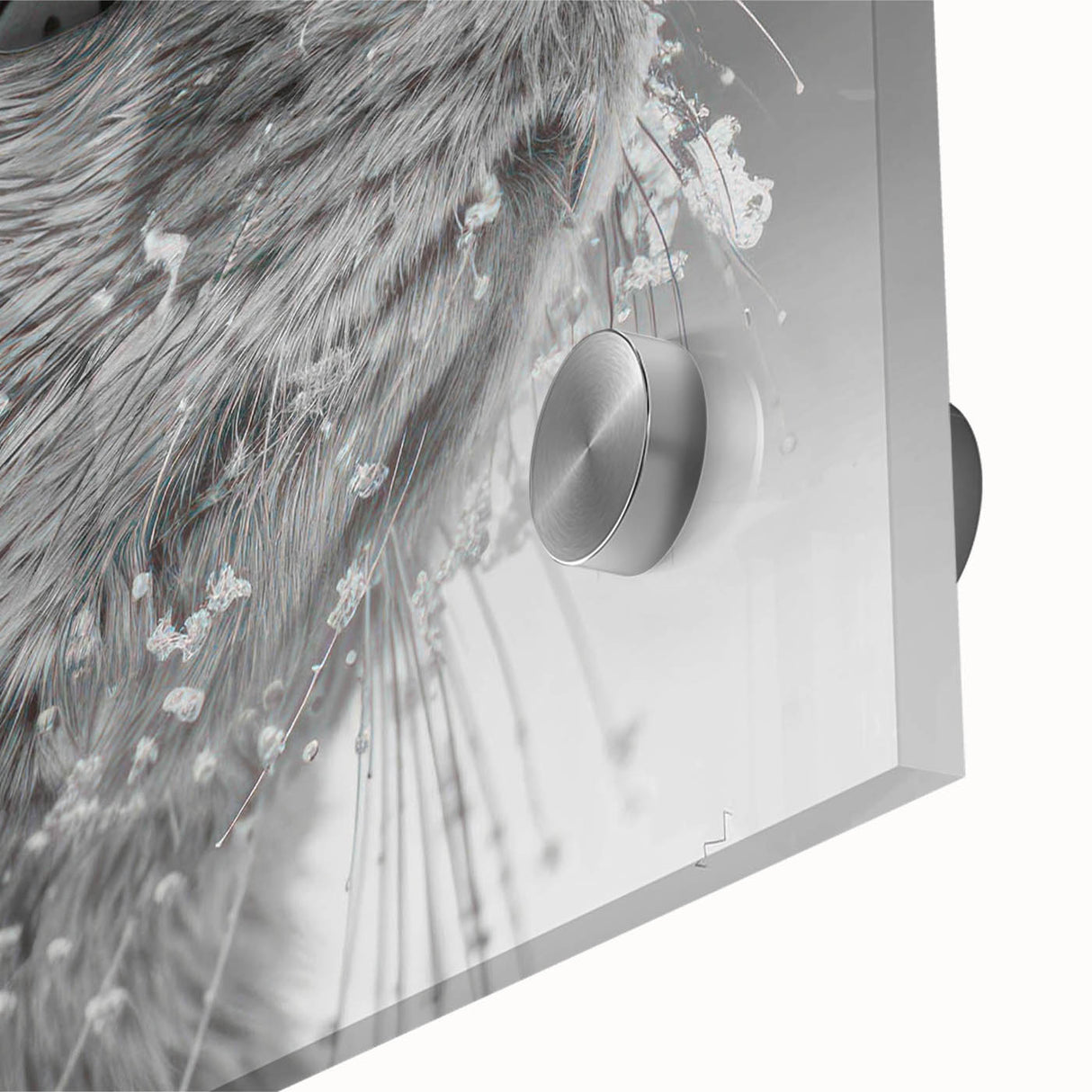 Close-up of vibrant sea otter wall art design printed on acrylic glass, showcasing intricate marine life details and colorful underwater elements in a contemporary style.