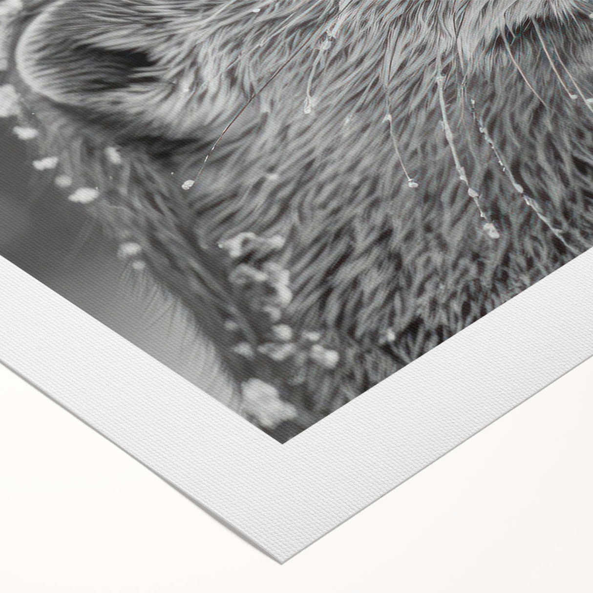 Charming rolled canvas wall art featuring a playful sea otter design amidst vibrant marine life elements, ideal for ocean-themed decor and nature lovers.