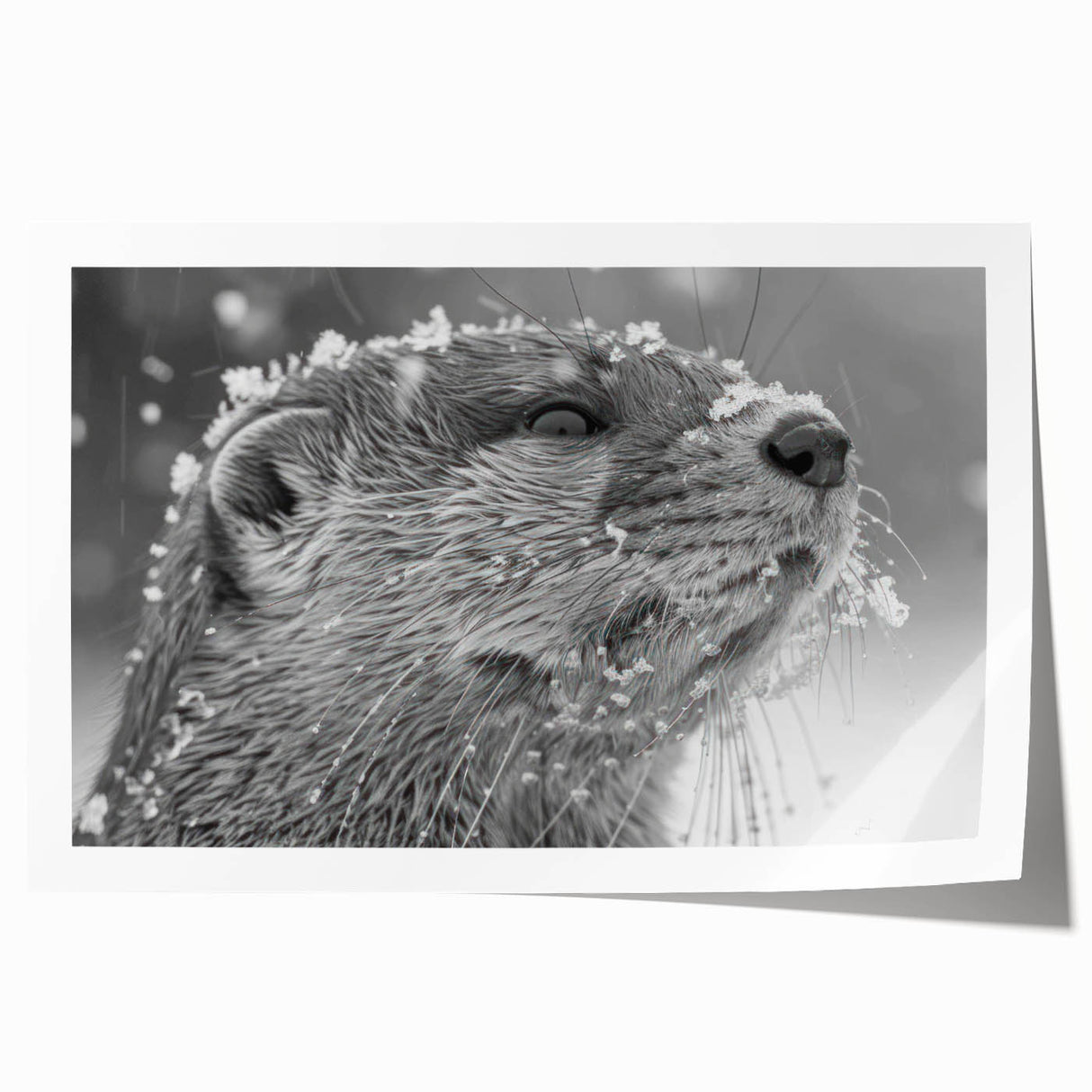 Vibrant wall art print featuring a playful sea otter swimming among colorful marine life, designed to enhance coastal-themed decor with its cheerful colors and intricate details.