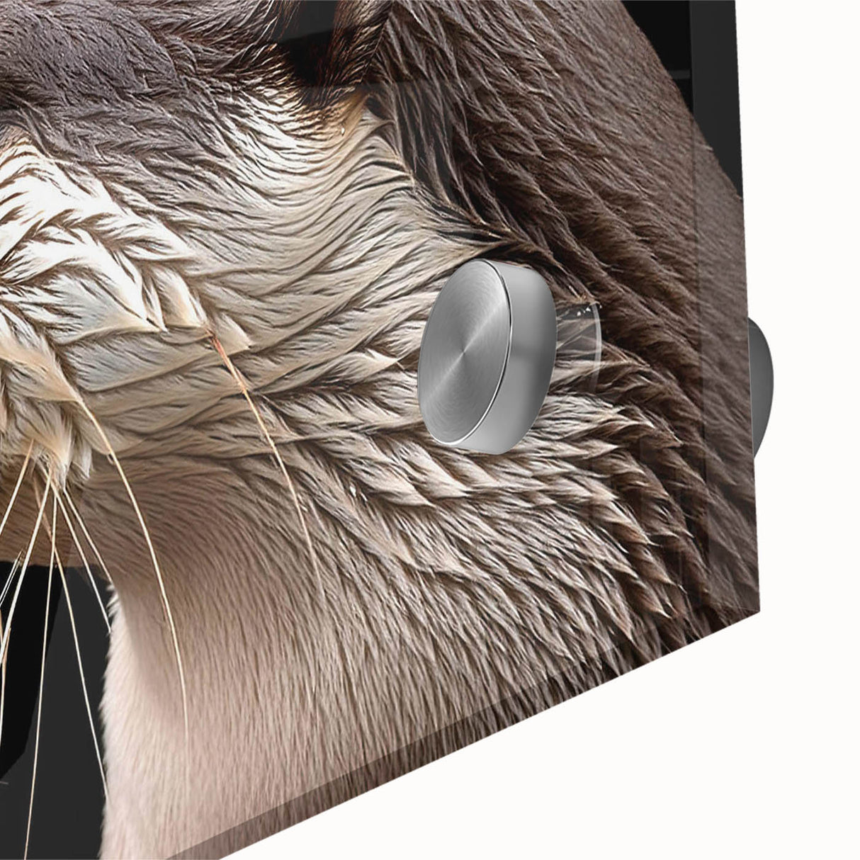 Close-up view of a vibrant marine life wall art design featuring a playful sea otter, beautifully printed on acrylic glass, showcasing vivid colors and intricate details.
