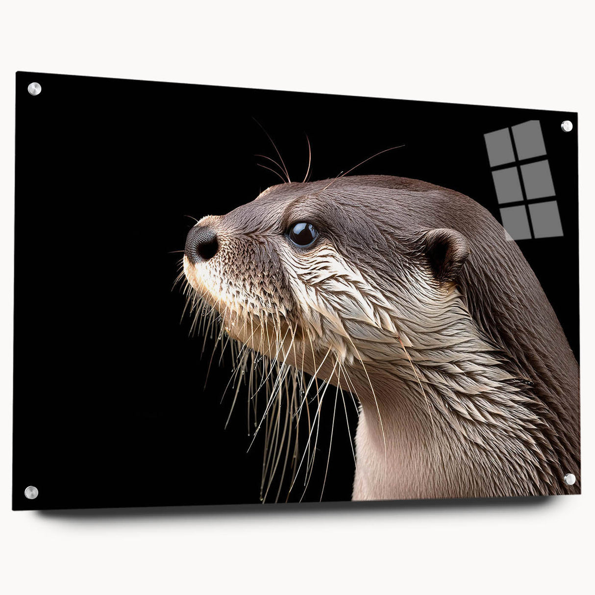 Acrylic glass wall art featuring a vibrant sea otter design, showcasing marine life colors in a side view with decorative pins, ideal for coastal decor.