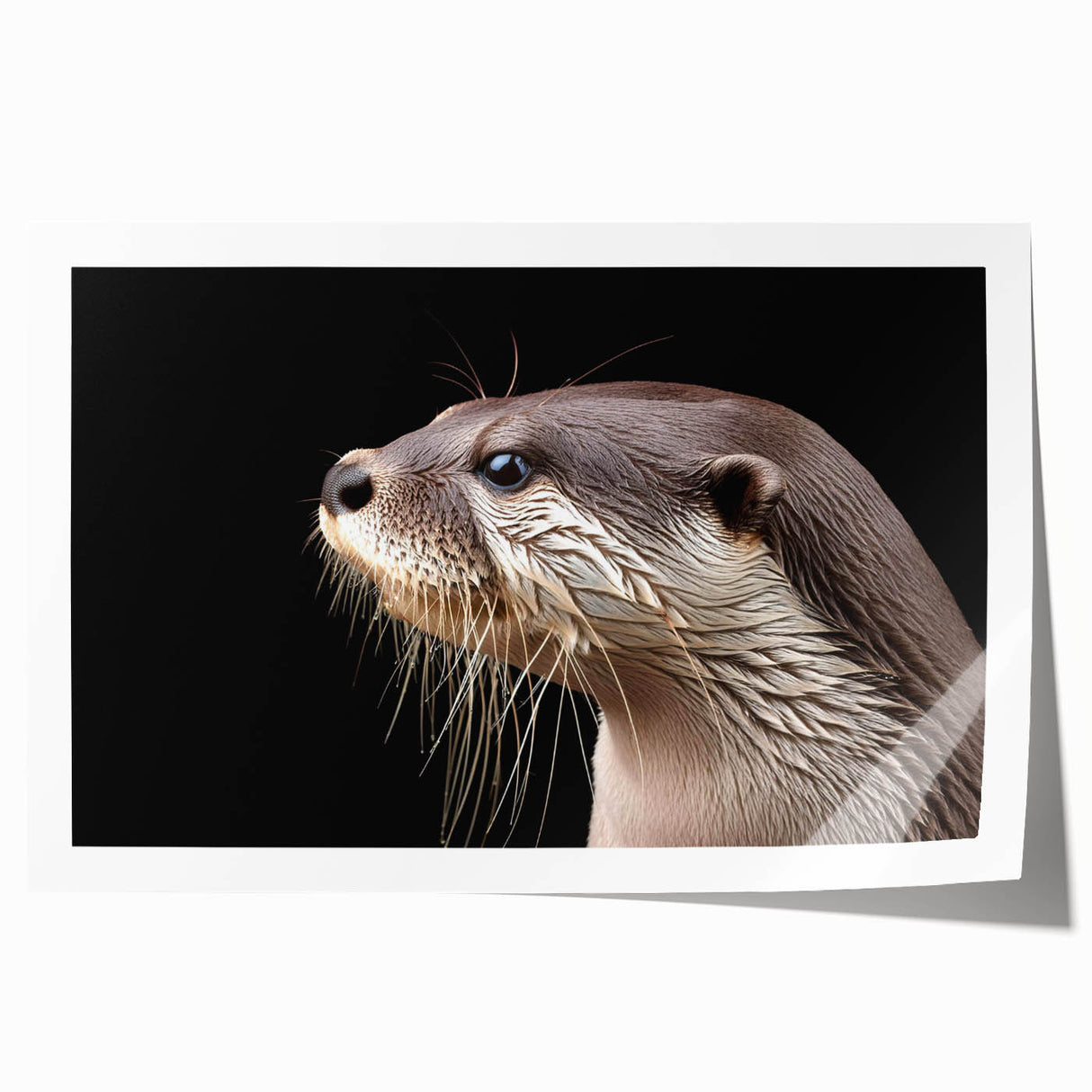 Vibrant marine life wall art design featuring a playful sea otter surrounded by colorful aquatic elements, printed on high-quality canvas for home decor.