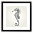 Framed wall art featuring a detailed black and white design of a seahorse, set against a white background, perfect for marine life enthusiasts and home decor.