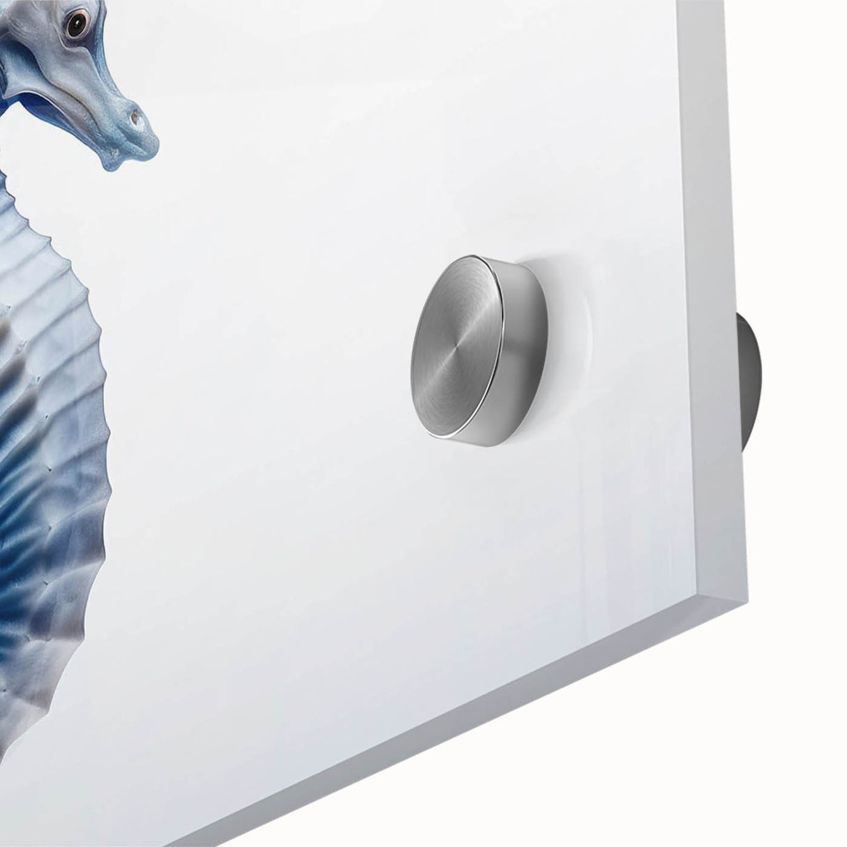 Close-up of a vibrant acrylic glass wall art piece showcasing a detailed marine life seahorse design, perfect for ocean-themed decor in contemporary settings. This stunning artwork highlights intricate colors and textures, ideal for enhancing any living space or office.