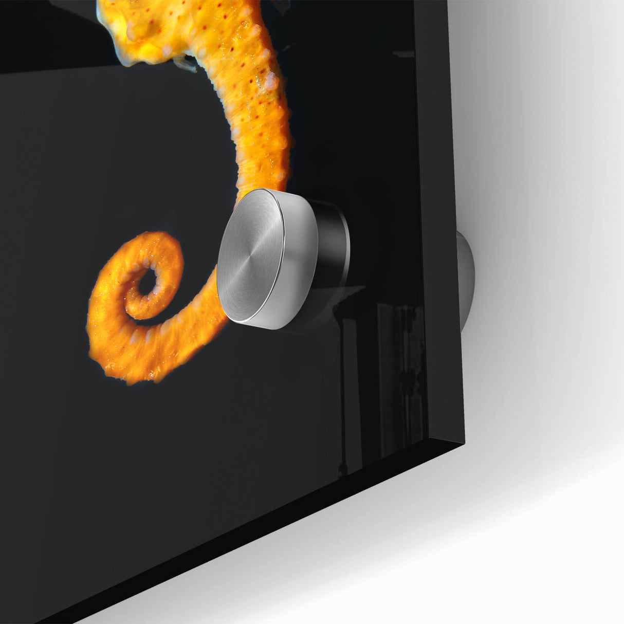 Close-up of a vibrant seahorse wall art design, showcasing intricate details and colors on acrylic glass, perfect for marine life enthusiasts and home decor.