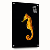 Close-up of a marine life-themed wall art collection showcasing a vibrant seahorse design, displayed in a sleek acrylic glass frame, highlighting intricate details with decorative pins. Perfect for ocean lovers and home decor enthusiasts.