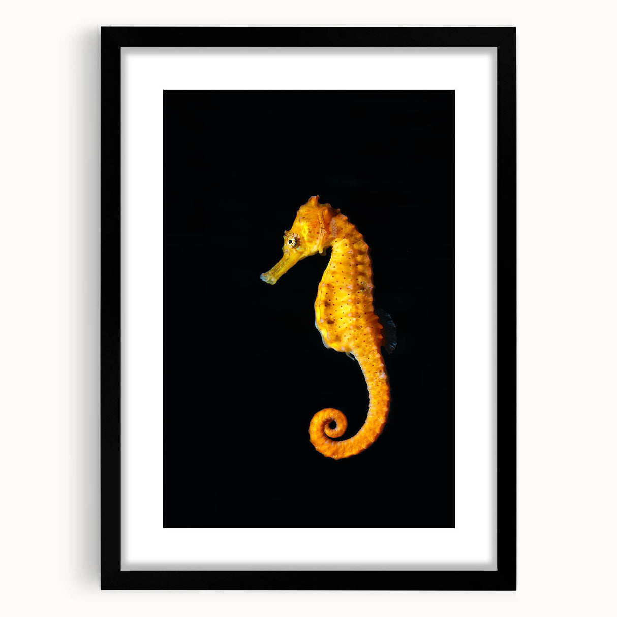 Framed wall art featuring an intricate marine life design of a seahorse, presented in a sleek black frame with a mat, perfect for ocean-themed decor.