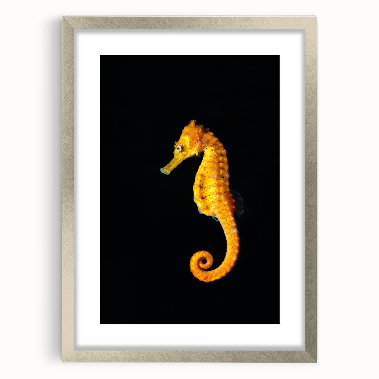 Seahorse-themed wall art print in a silver frame, showcasing vibrant marine life design, ideal for coastal decor enthusiasts seeking unique oceanic aesthetics.