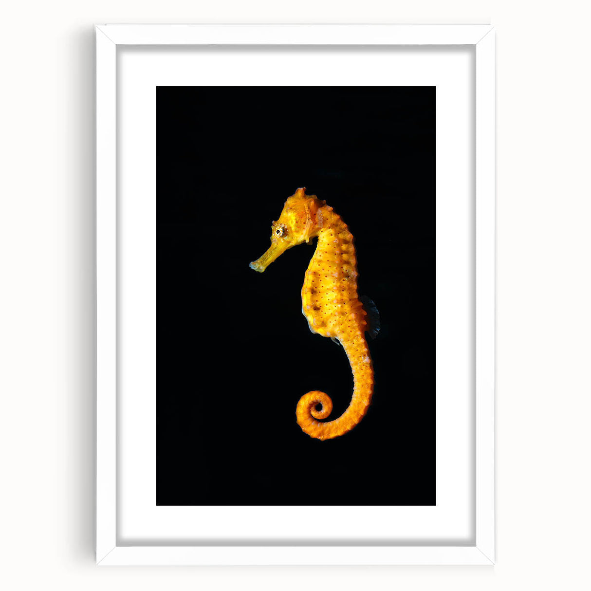 Framed wall art featuring a vibrant marine life seahorse design, set against a white mat, showcasing intricate details and colorful ocean themes, ideal for coastal decor.