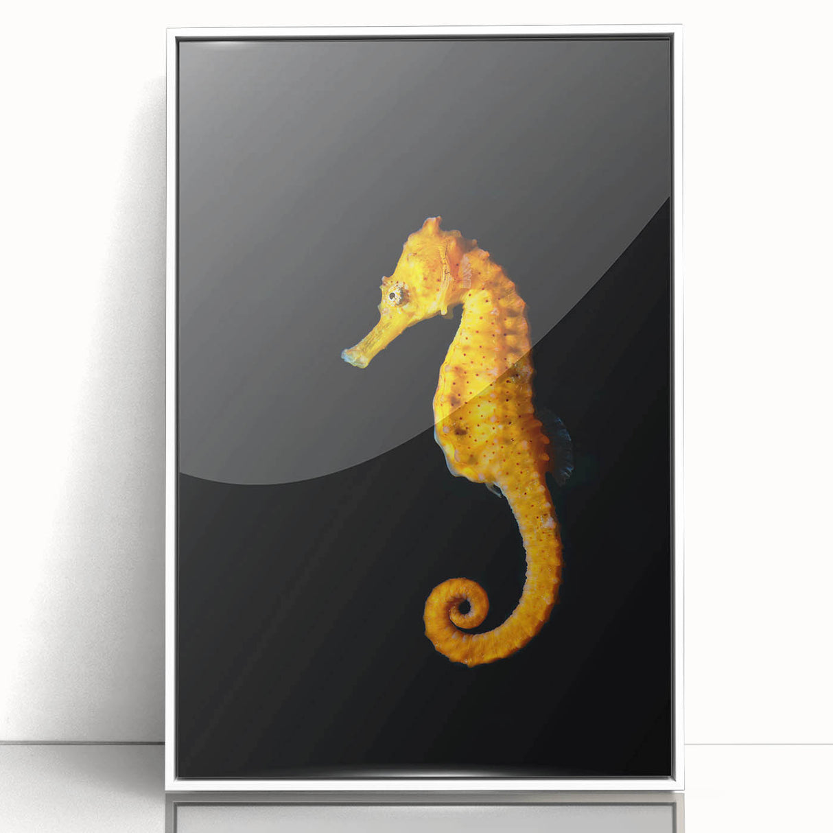 Framed wall art showcasing a vibrant marine life seahorse design in acrylic, featuring a sleek white frame. Ideal for ocean-themed decor and nature enthusiasts.