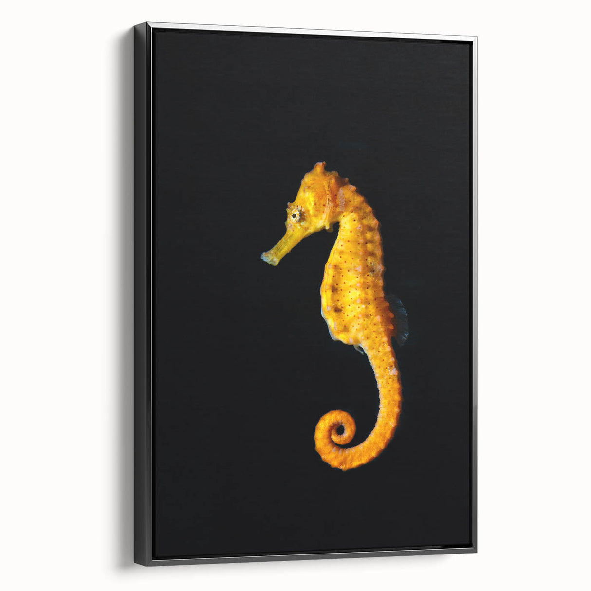 Framed wall art featuring a vibrant seahorse design on canvas, showcasing intricate marine life details with a black frame, perfect for coastal-themed decor.