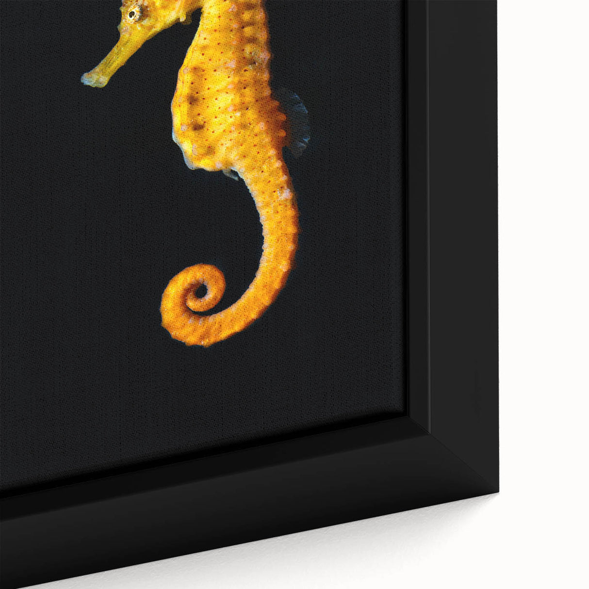 Close-up of a beautifully framed marine life wall art piece showcasing a vibrant seahorse design on textured canvas, perfect for ocean-themed decor.