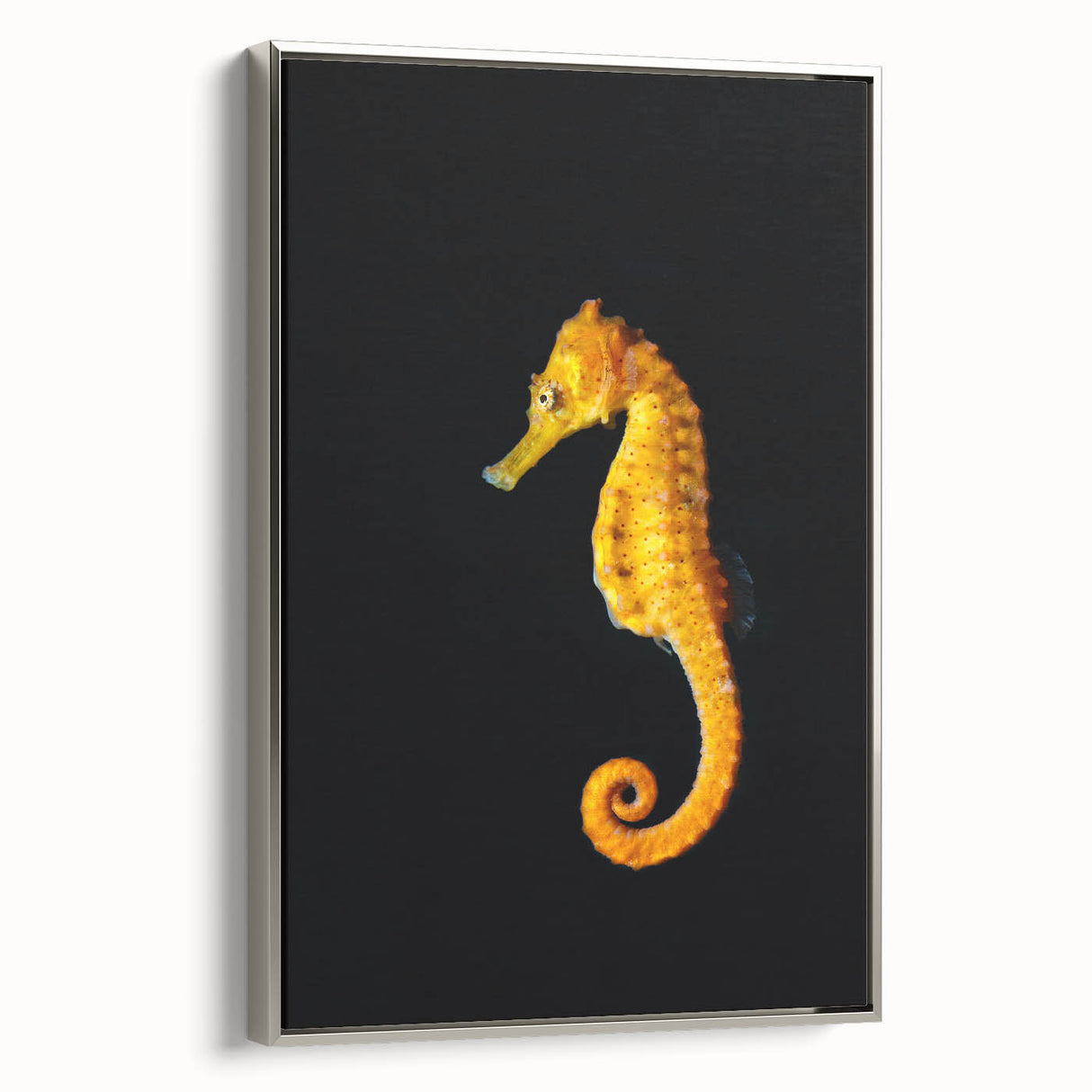 Framed wall art featuring a detailed silver seahorse design on canvas, showcasing vibrant colors and intricate textures, perfect for marine life enthusiasts.