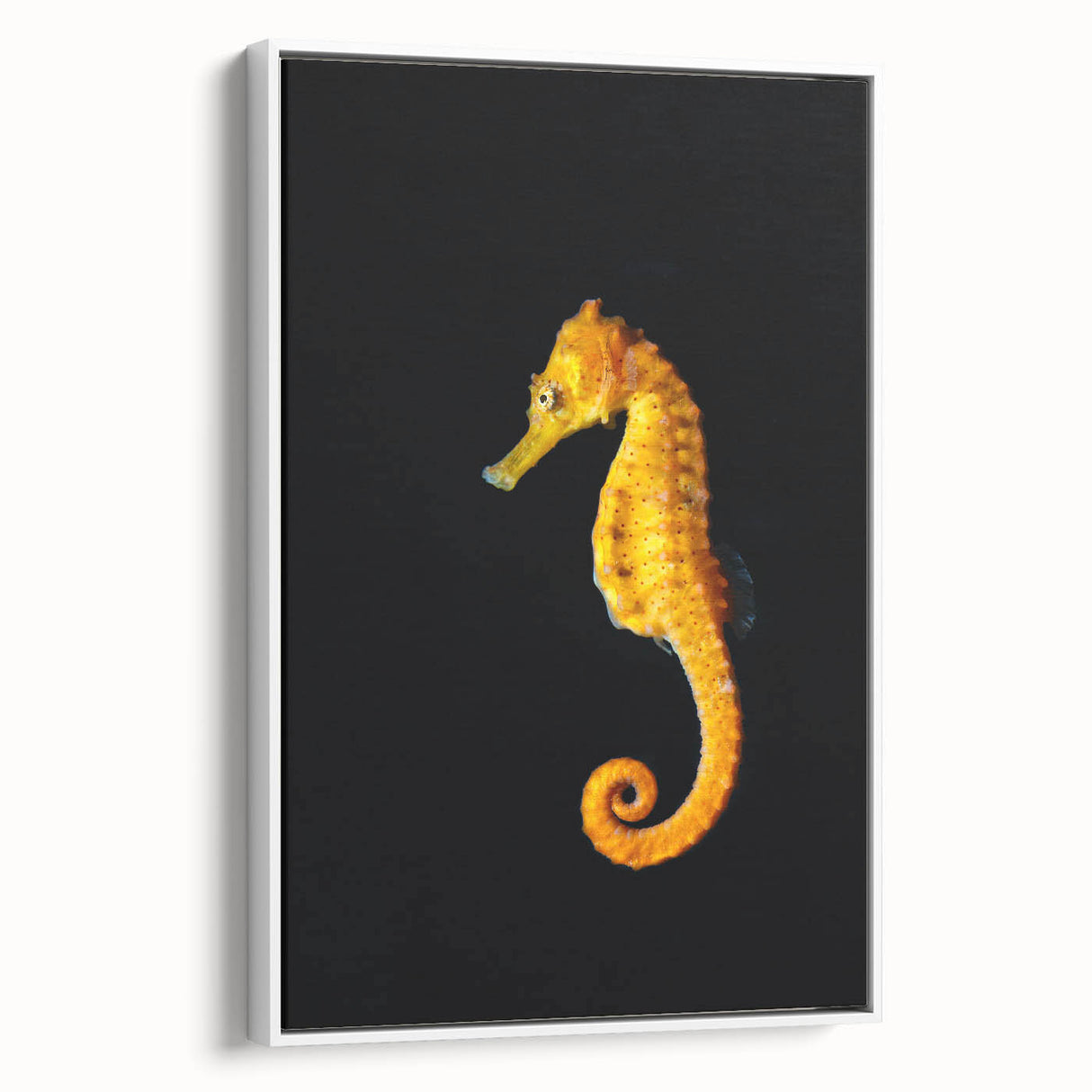 Framed wall art featuring a vibrant seahorse design against a white background, showcasing intricate marine life details, perfect for ocean-themed decor.