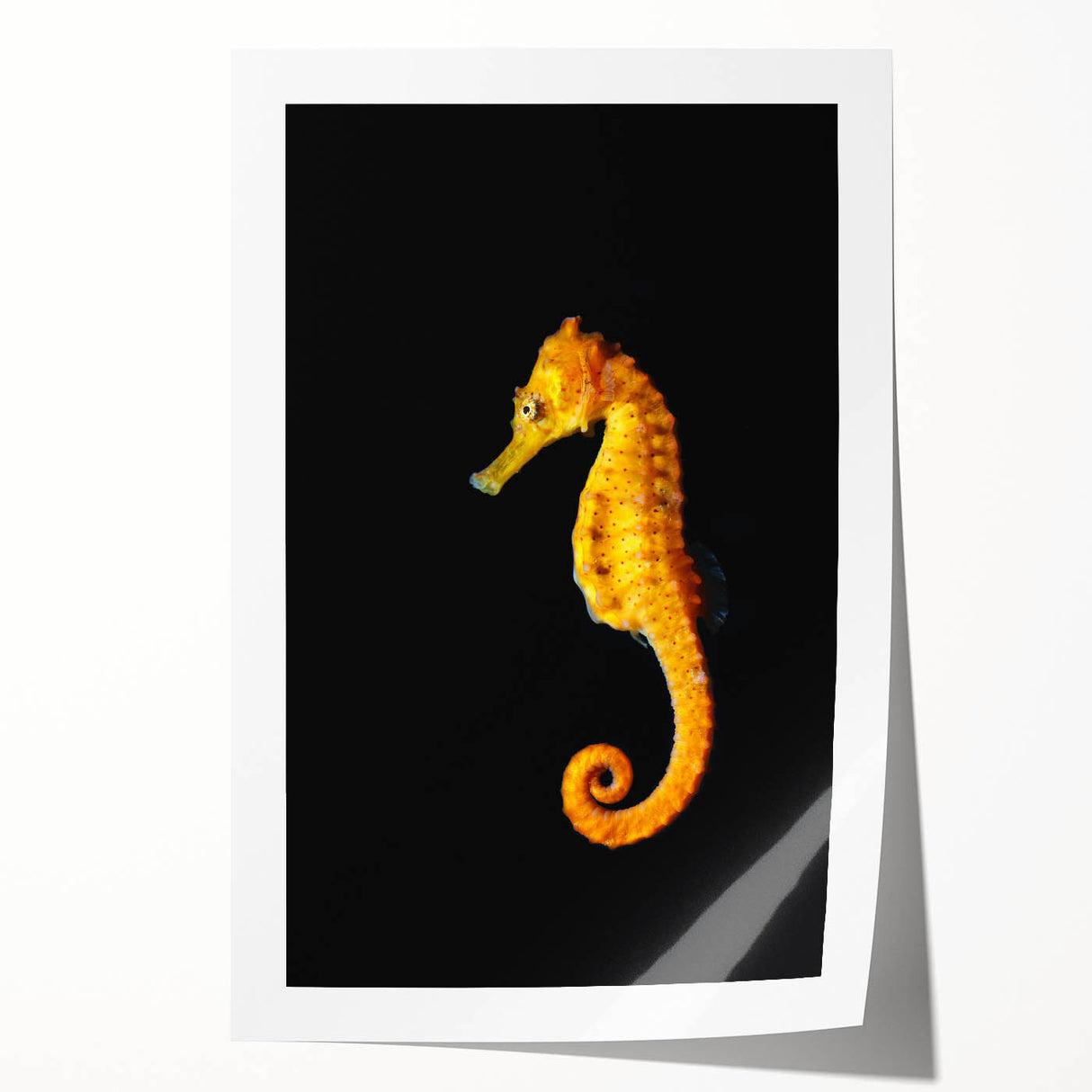 Seahorse wall art print showcasing vibrant marine life design with intricate details, ideal for ocean-themed decor. Perfect for enhancing home aesthetics.