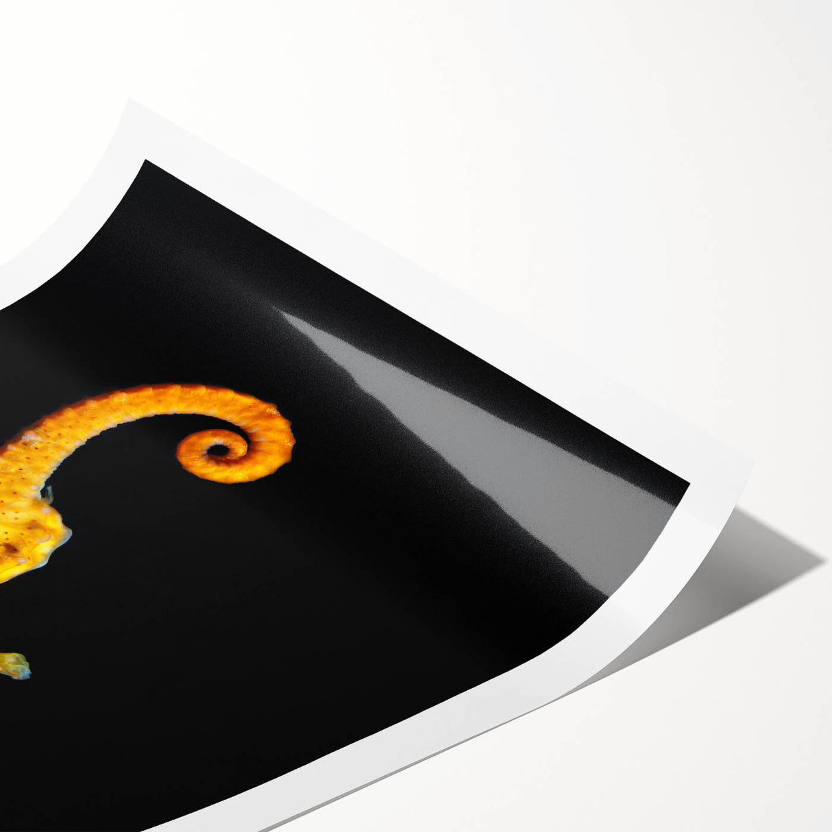 Colorful seahorse wall art print showcasing intricate marine life design, perfect for ocean-themed decor, rolled and ready for framing or display.