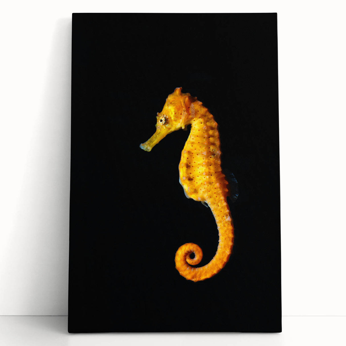 Stretched canvas wall art featuring a vibrant seahorse design, showcasing intricate marine life details in soothing blue and green hues, ideal for ocean-themed decor.