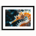 Elegant black-framed wall art showcasing a detailed seahorse design in vibrant colors, perfect for marine life enthusiasts and coastal-themed decor. Ideal for enhancing any living space or office with a touch of ocean-inspired elegance.