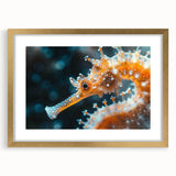 Framed marine life wall art featuring a gold mat and seahorse design, perfect for ocean-themed decor, adding elegance to any room. Ideal for nature enthusiasts.
