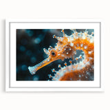 Framed wall art featuring a colorful seahorse design, displayed with a white mat, perfect for marine life enthusiasts and coastal decor lovers. The vibrant illustration adds a playful touch to any room.
