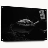 Side view of a marine life-themed wall art piece showcasing a shark design, printed on acrylic glass, with visible mounting pins. Ideal for ocean lovers' decor.