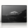 Framed acrylic wall art featuring a sleek black front view of a marine life shark design, ideal for ocean-themed decor, showcasing vibrant colors and intricate details.
