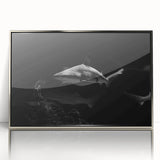 Framed wall art featuring a sleek shark design in vibrant colors, set in a stylish silver frame, perfect for marine life enthusiasts and modern decor.