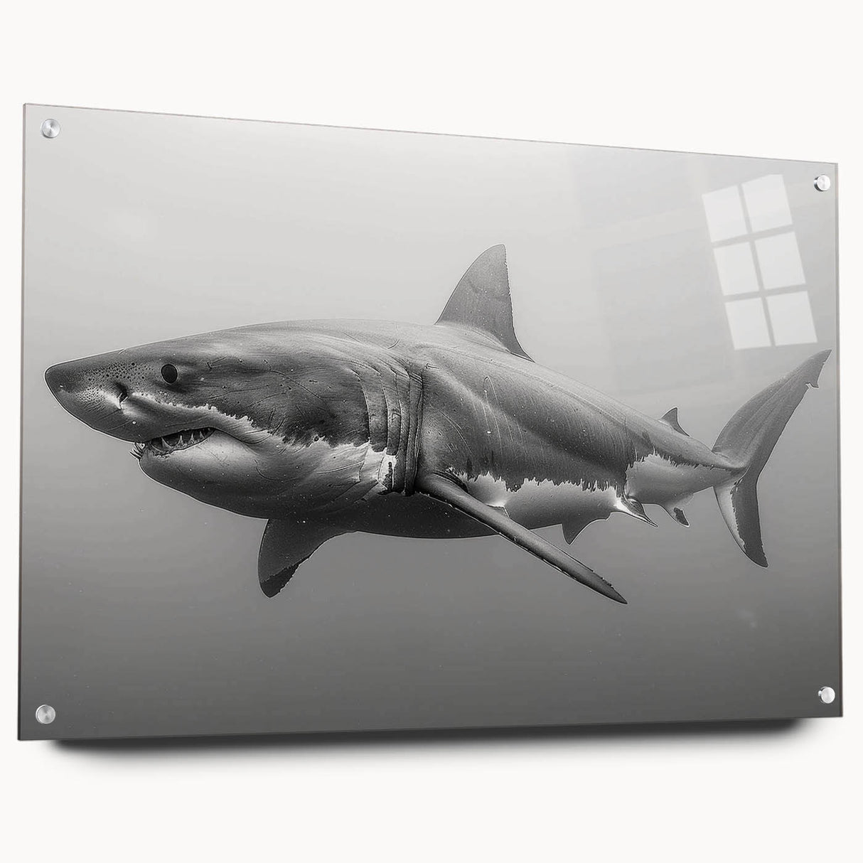 Acrylic glass wall art featuring a striking shark design from the Marine Life collection, displayed in a side view with decorative pins, showcasing vivid colors and intricate details. Perfect for ocean-themed decor enthusiasts and marine life lovers.