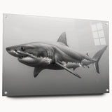 Acrylic glass wall art featuring a striking shark design from the Marine Life collection, displayed in a side view with decorative pins, showcasing vivid colors and intricate details. Perfect for ocean-themed decor enthusiasts and marine life lovers.