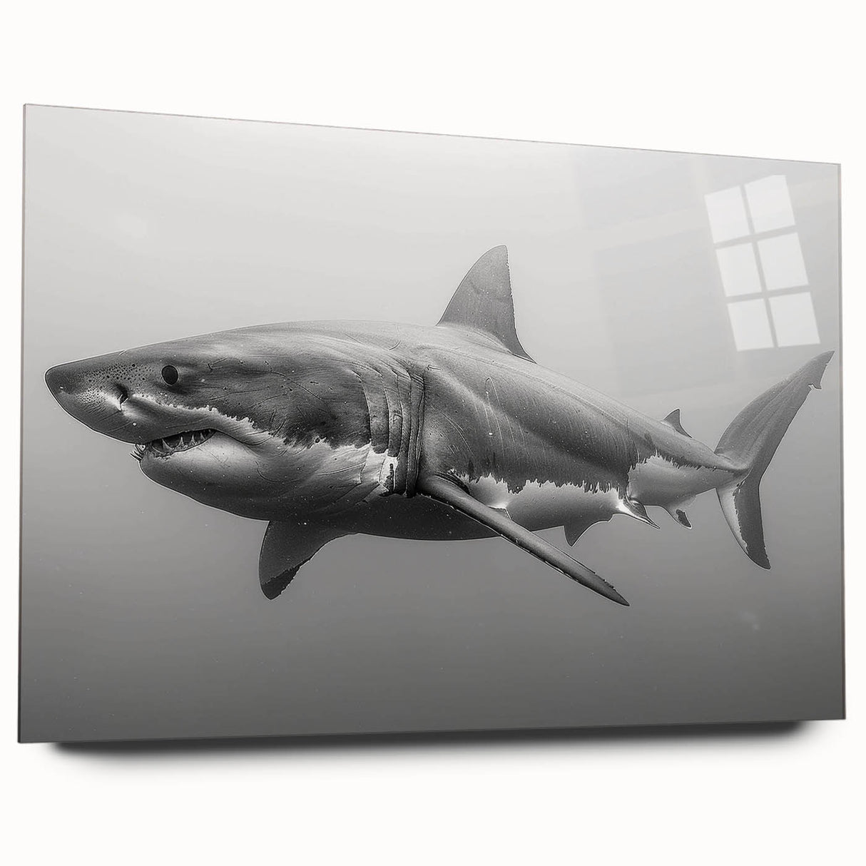 Vibrant acrylic wall art showcasing a detailed shark design, perfect for marine life enthusiasts. The artwork features rich colors and sleek glass finish, ideal for modern decor.