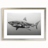 Framed wall art showcasing a sleek shark design in a marine life theme, featuring a silver frame and mat, perfect for ocean lovers’ decor.